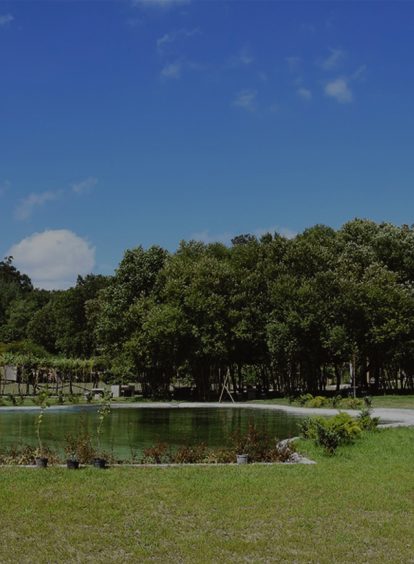 uf-guisandeeoliveira.pt-locais-principal-parque-lazer-guisande-principal